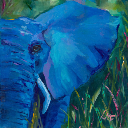 Blue Elephant